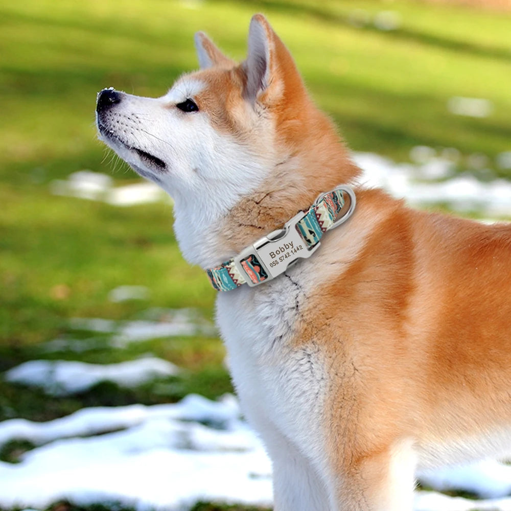 Personalised Nylon Dog Collar
