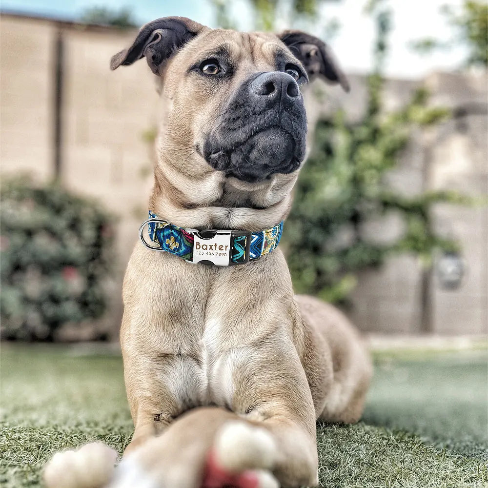 Personalised Nylon Dog Collar