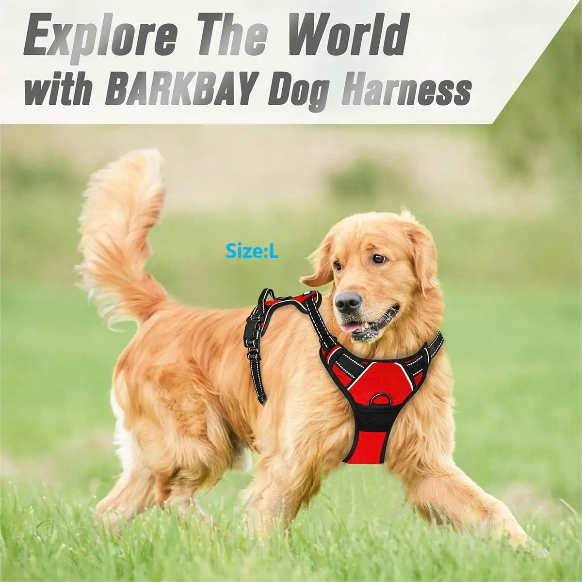 No Pull Front-Clip Reflective Dog Harness