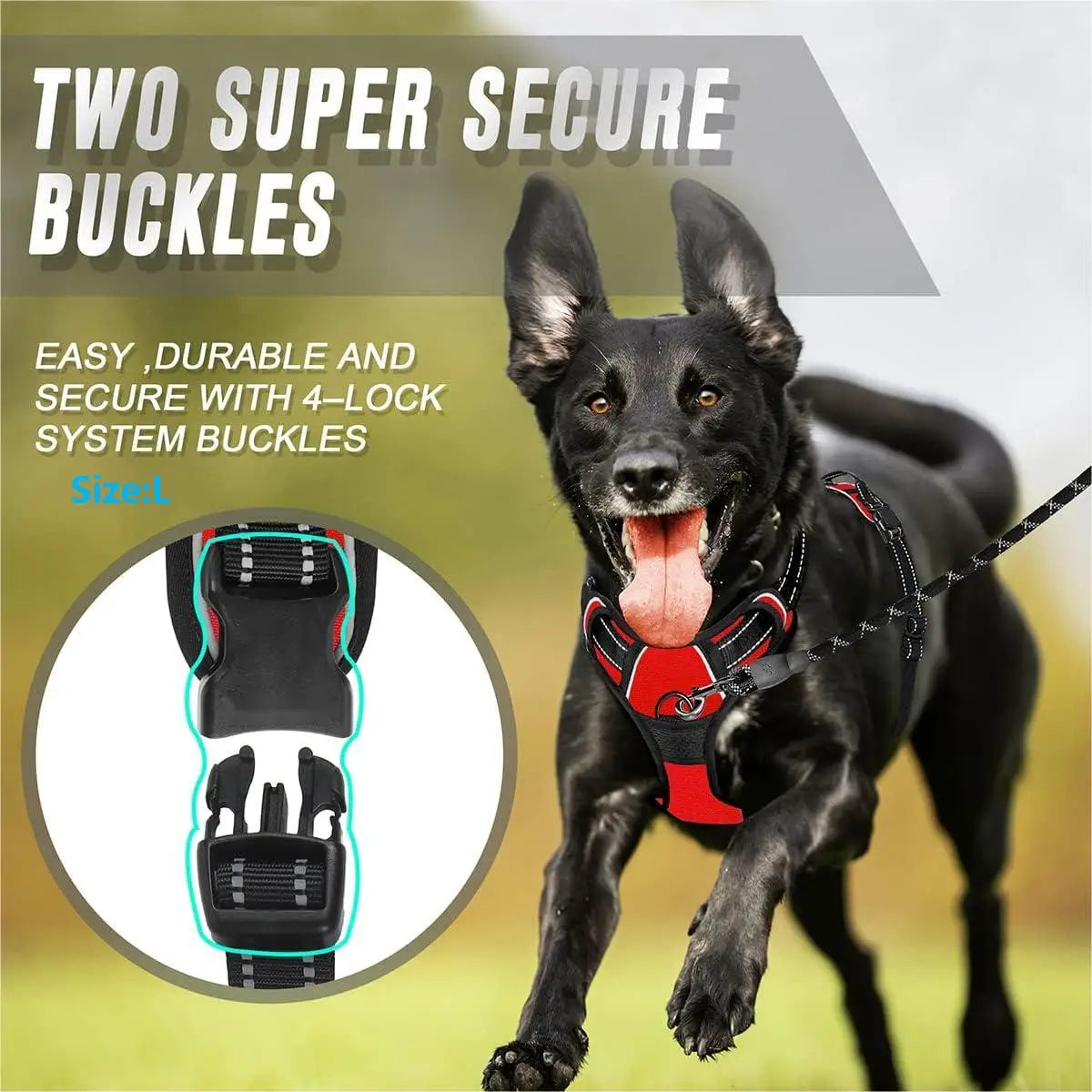 No Pull Front-Clip Reflective Dog Harness