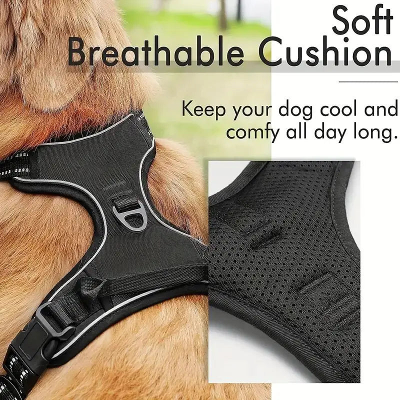 Ultimate Front-Clip Dog Harness with Leash