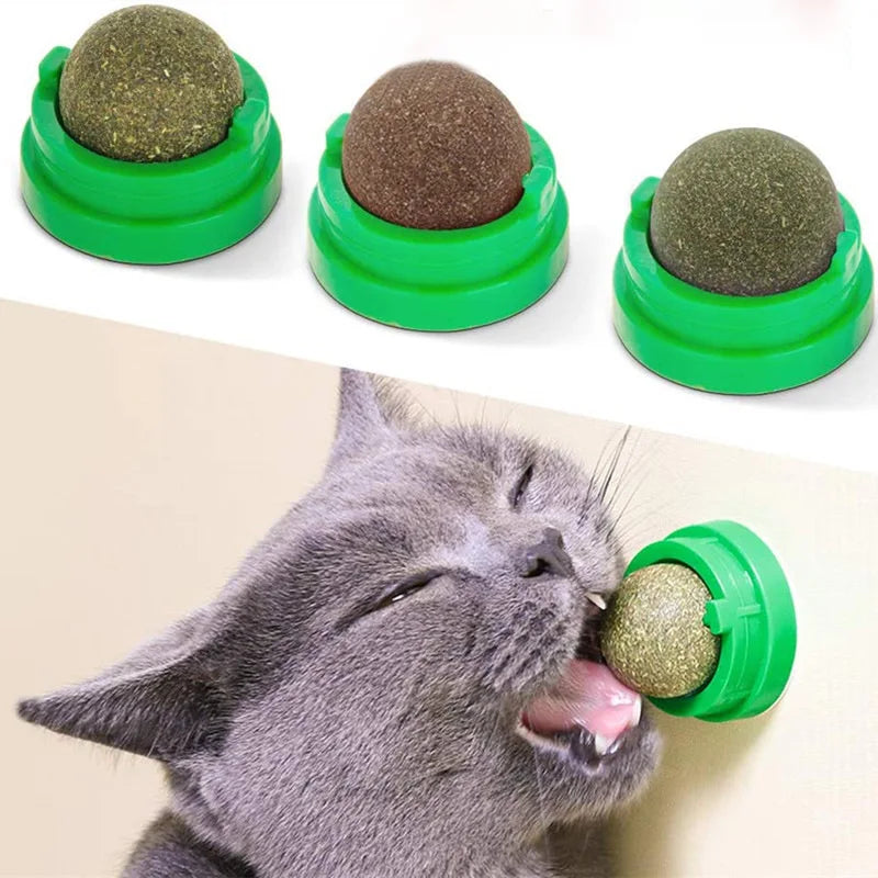 Natural Catnip Cat Wall Stick-on Ball Toy Scratchers