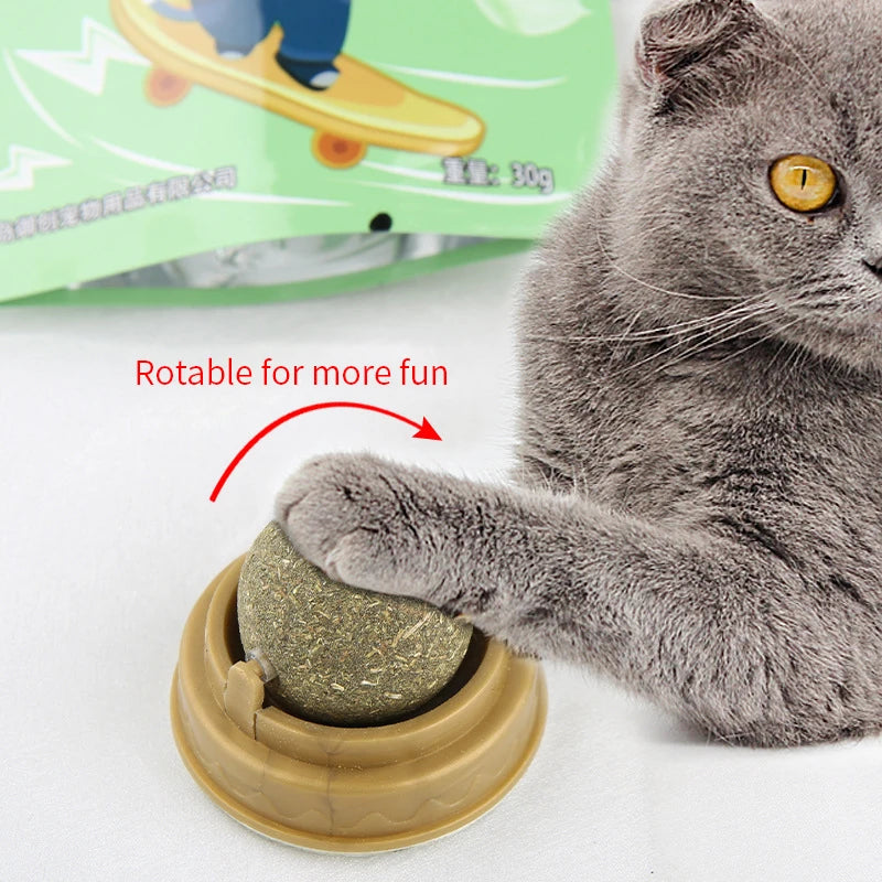 Natural Catnip Cat Wall Stick-on Ball Toy Scratchers