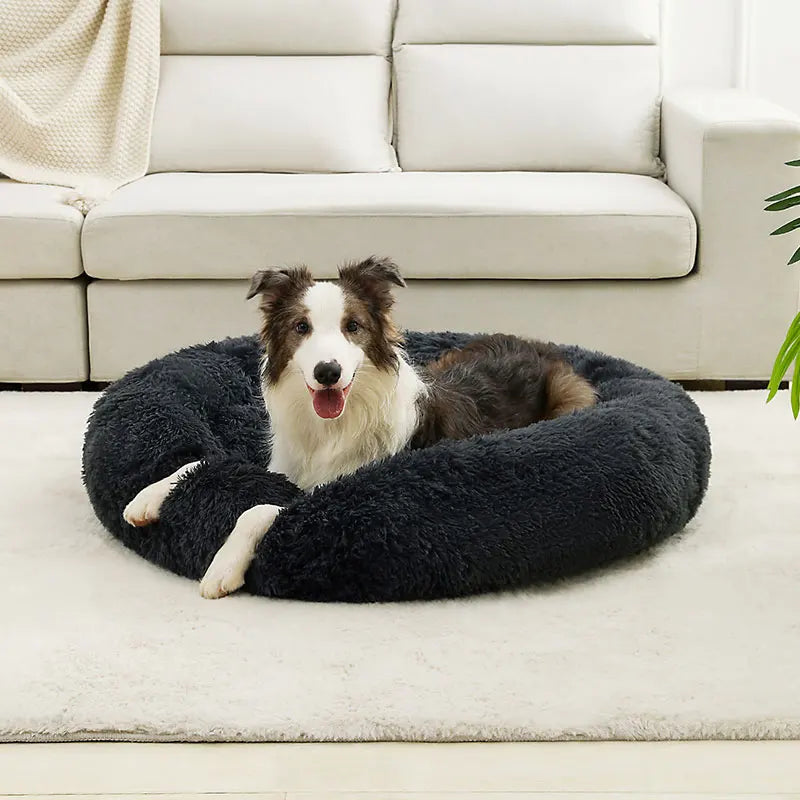 Comfort Long Plush Dog Bed