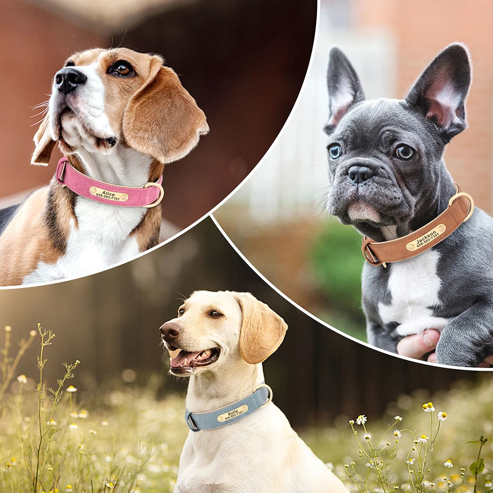 Personalised Engraved PU Leather Dog Collar