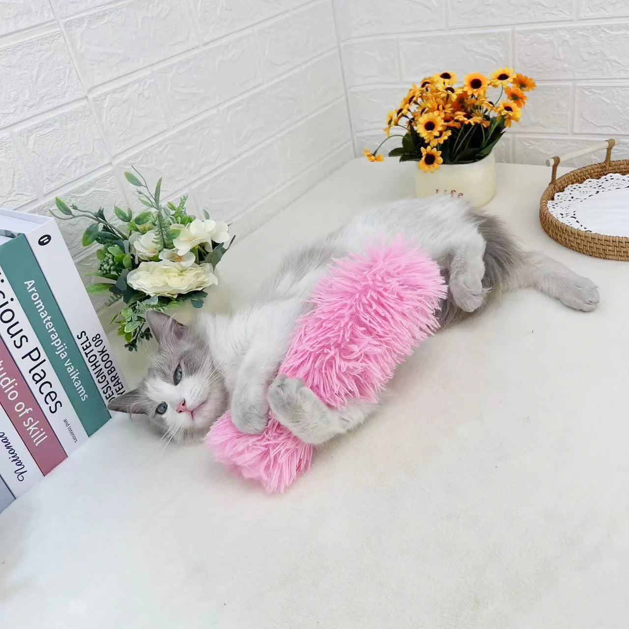 Plush Cat Chew Toy with Catnip