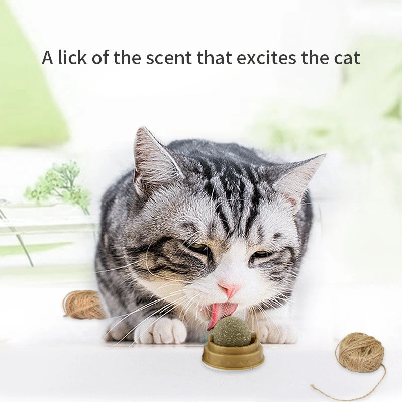 Natural Catnip Cat Wall Stick-on Ball Toy Scratchers