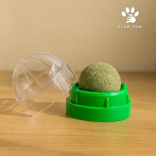 Natural Catnip Cat Wall Stick-on Ball Toy Scratchers